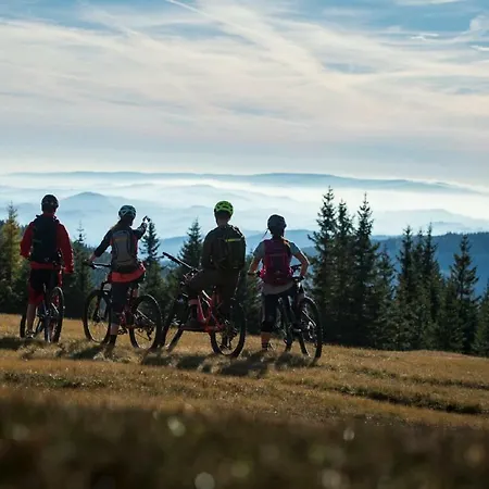 Σπίτι διακοπών Ferienhaeuser Gruber-list Sankt Corona am Wechsel